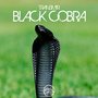 Black Cobra