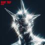 DONT TRIP (Explicit)