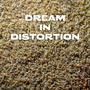 Dream In Distortion