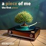 a piece of me: the first piece