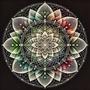 The beauty of peace lies in its simplicity |