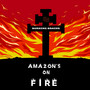 Amazon's on Fire