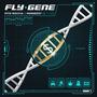 Fly Gene (Explicit)