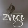 Zvese (feat. paNashe)