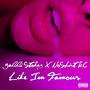 Like I'm Famous (feat. NoShirt KC) (Explicit)