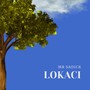 Lokaci