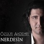 Nerdesin