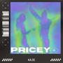 Pricey (Explicit)