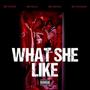 WHAT SHE LIKE (feat. BFK Wickz, BFK Ruga & BFK Hunxho) [Explicit]