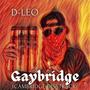 Gaybridge (Cambridge Disstrack)