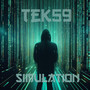 Simulation (Explicit)