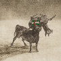 Andaluz