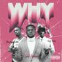 Why (Explicit)