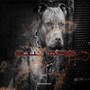 Bully Tapes, Vol. 1 (Explicit)