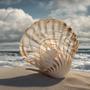 Wind in the Seashell (Organic Mix)