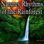 Natures Rhythms of the Rainforest