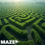 Maze