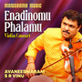 Enadinomu Phalamu (Carnatic Classical Instrumental)