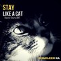 Stay Like a Cat (Electric Charts 2017)