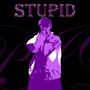 Stupid (Explicit)