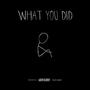 What you did (feat. Lucid productions) [Explicit]