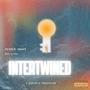 Intertwined (feat. Gee Q. Vee) [Explicit]