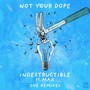 Indestructible (feat. MAX) [Remixes]