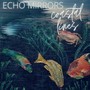 Echo Mirrors