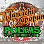 Polkas Con Mariachi