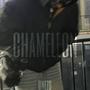 Chameleon (Explicit)