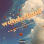 wonderland (Disorganised Thoughts and Demos Chapter One) [Explicit]