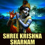 Shree Krishna Sharnam - Single