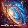 Life of the Universe