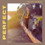 Perfect (feat. Dawn Elder)