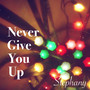 Never Give You Up