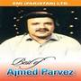 Best Of Amjad Pervez