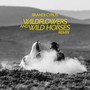 Wildflowers and Wild Horses (Remix)