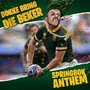Bokke Bring Die Beker (Springbok Anthem)