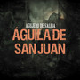 Águila de San Juan