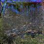 ruins