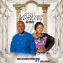 Miracle Working God