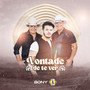 Vontade de Te Ver