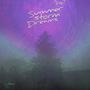 Summer Storm Dreams (Explicit)