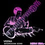 Veena (Bigroom Edm)