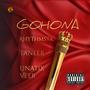 GOHONA (feat. Rhythmsta, Lunatix Veer & Tanveer)