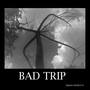 Bad Trip (Explicit)