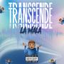 Transcende (Explicit)