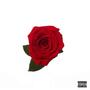 rose (Explicit)