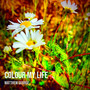 Colour My Life