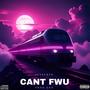CAN'T FWU (PROD ZHN) [Explicit]